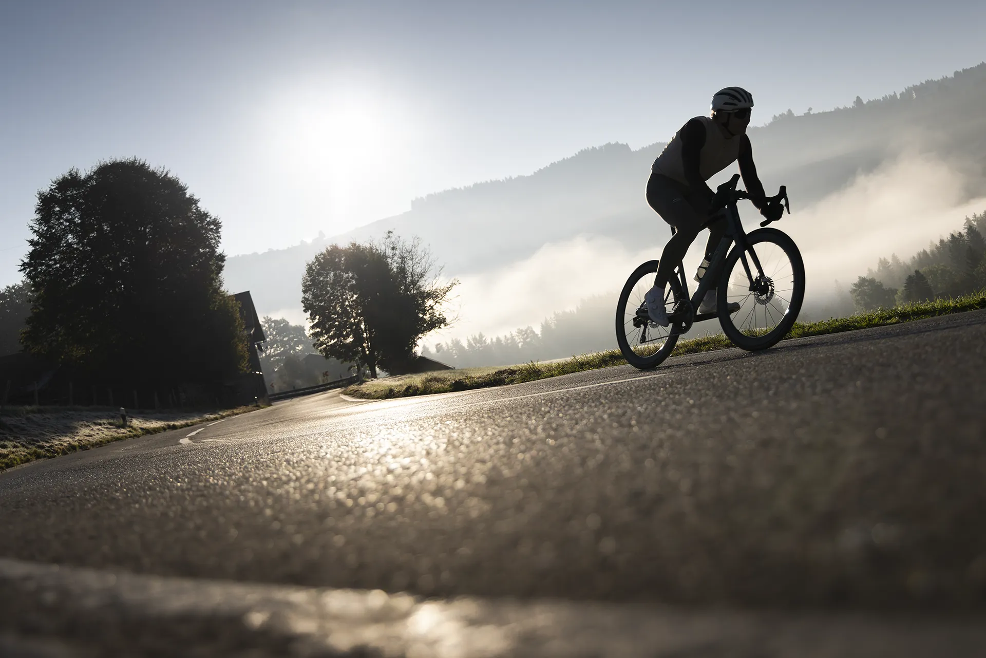 Rennrad Foto